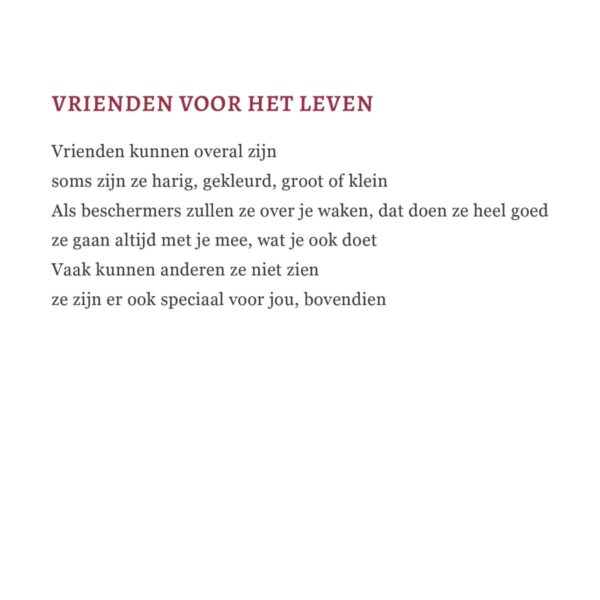 Art cards met gedichten en afbeeldingen uit het boek Fonkellampen, limited edition - Afbeelding 4